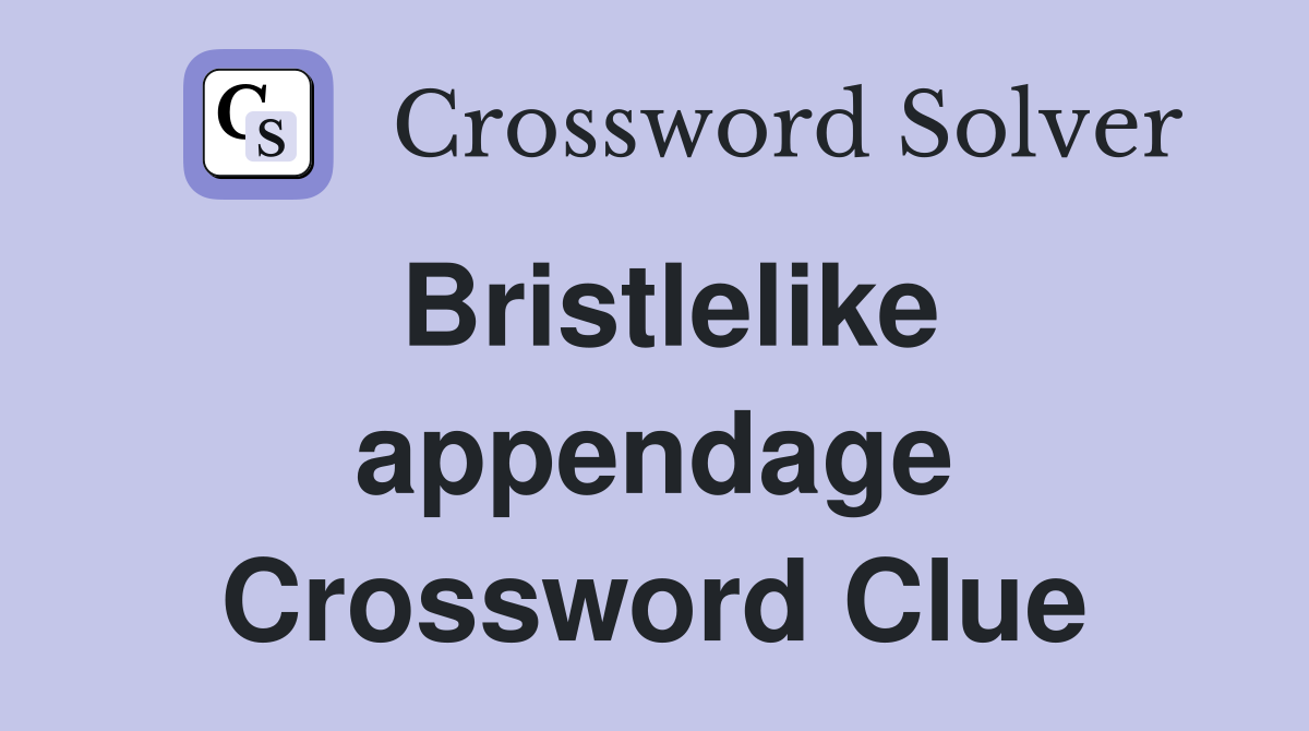 Bristlelike appendage Crossword Clue