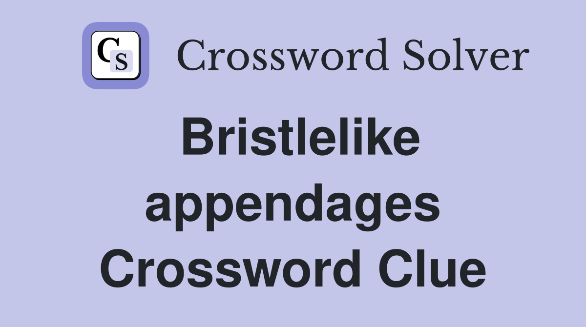 Bristlelike appendages Crossword Clue