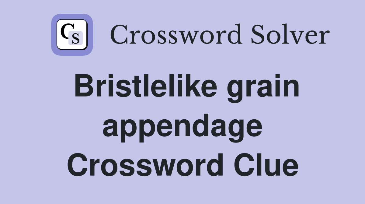 Bristlelike grain appendage Crossword Clue