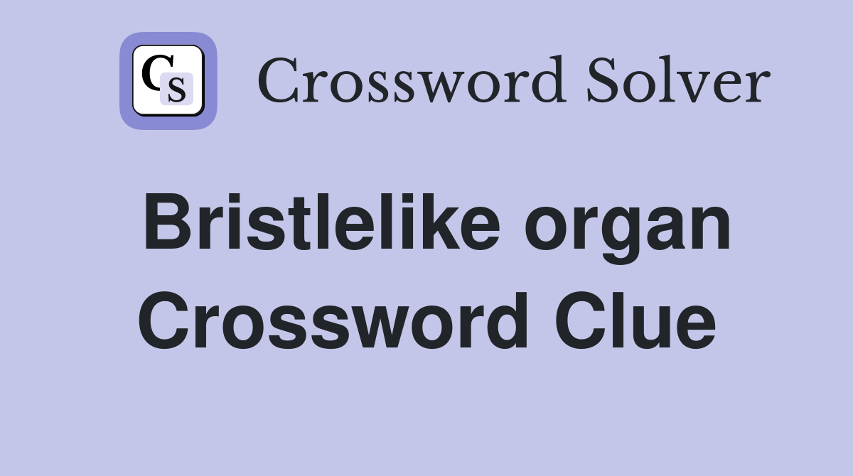 Bristlelike organ Crossword Clue