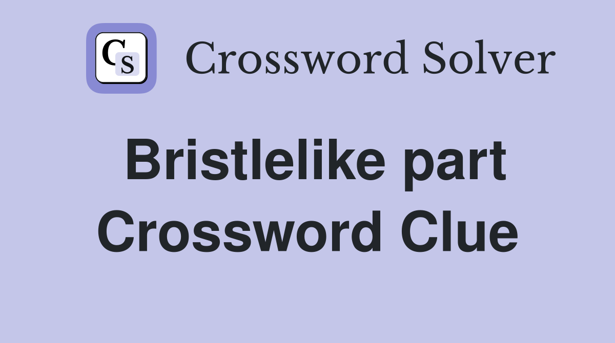 Bristlelike part Crossword Clue
