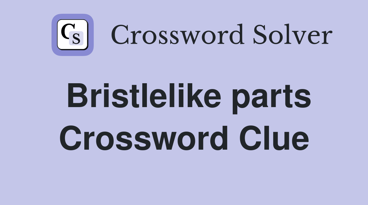 Bristlelike parts Crossword Clue