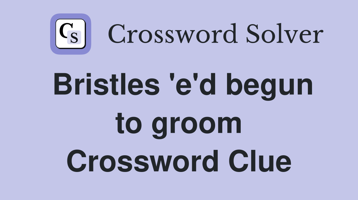 Bristles 'e'd begun to groom Crossword Clue
