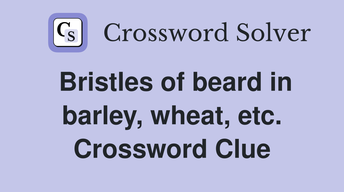 Bristles of beard in barley, wheat, etc. Crossword Clue