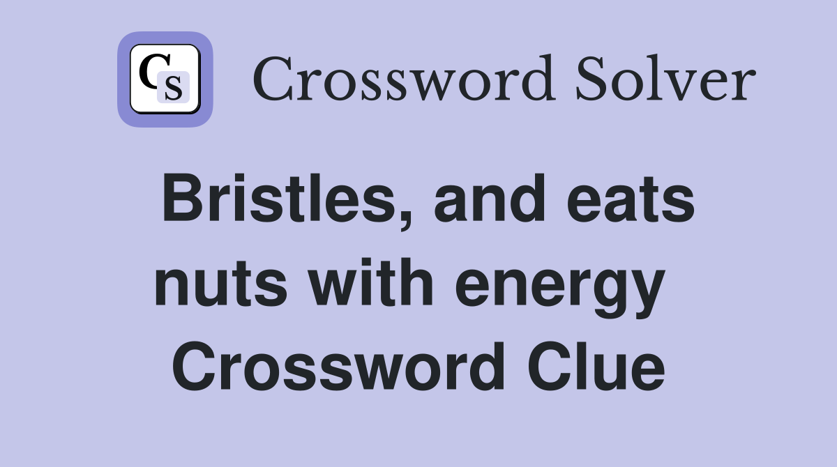 Bristles, and eats nuts with energy  Crossword Clue