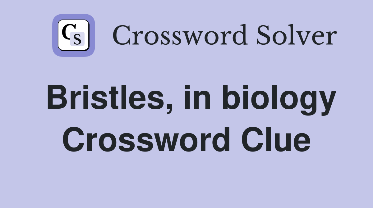 Bristles, in biology Crossword Clue