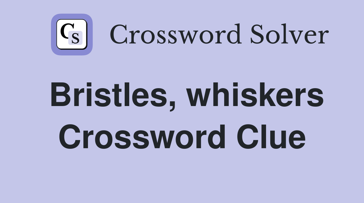 Bristles, whiskers Crossword Clue