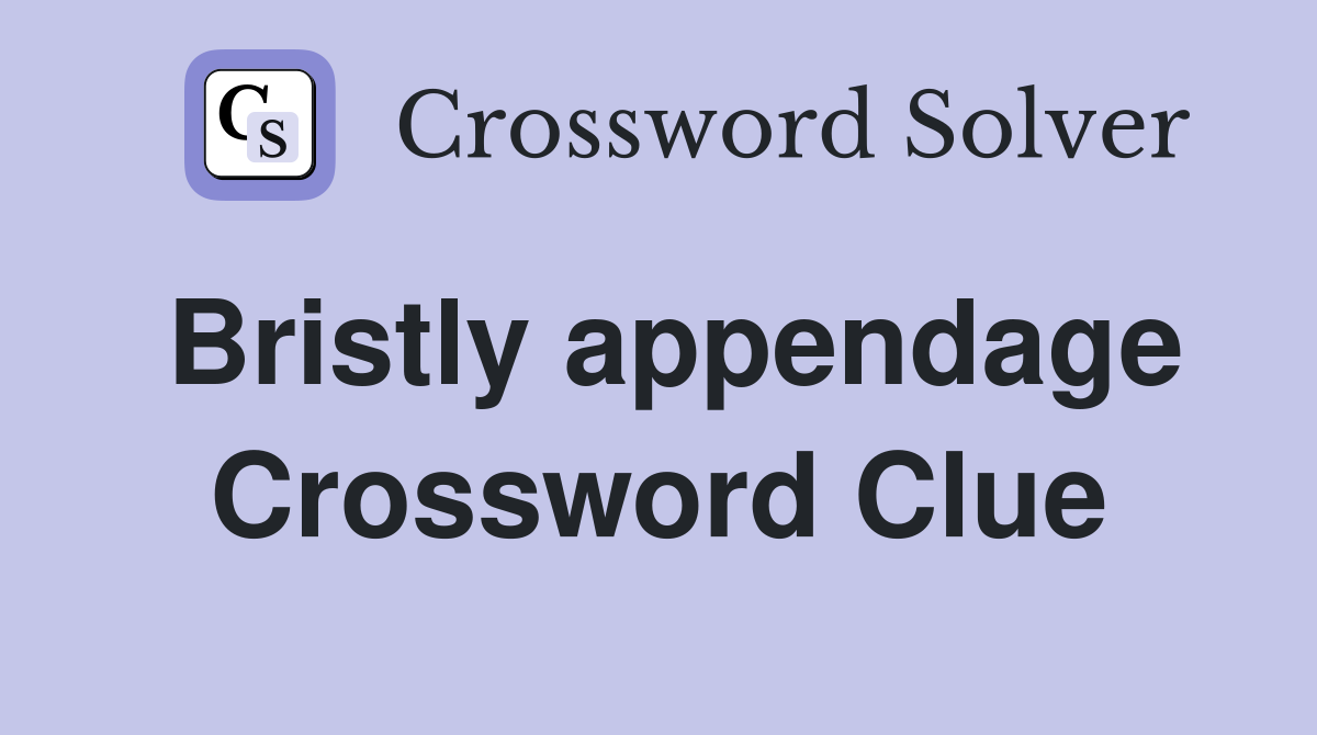 Bristly appendage Crossword Clue