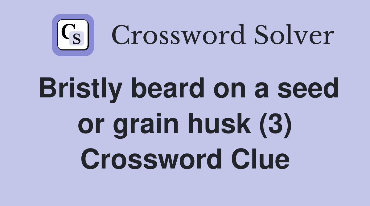 Bristly beard on a seed or grain husk (3) Crossword Clue