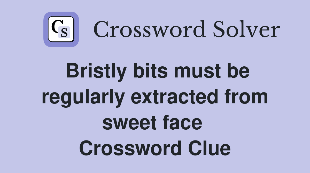 Bristly bits must be regularly extracted from sweet face  Crossword Clue