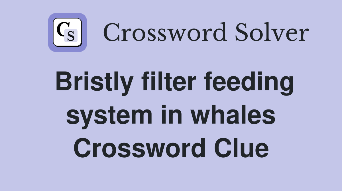 Bristly filter feeding system in whales Crossword Clue