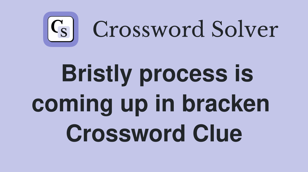Bristly process is coming up in bracken  Crossword Clue
