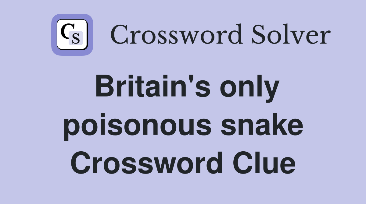 Britain's only poisonous snake Crossword Clue