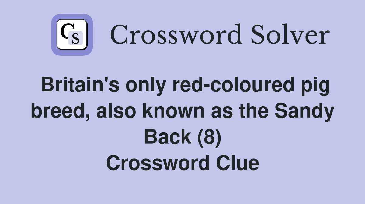 Britain's only red-coloured pig breed, also known as the Sandy Back (8) Crossword Clue
