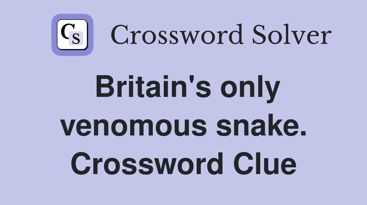 Britain's only venomous snake. Crossword Clue