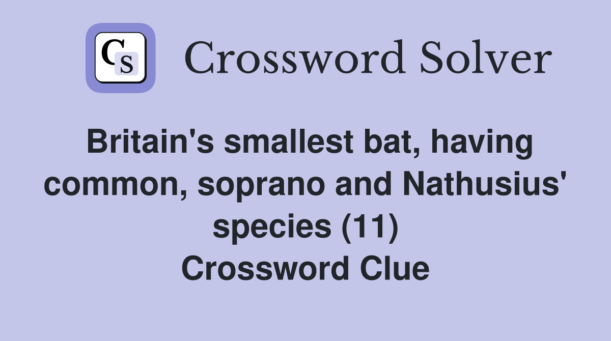Britain's smallest bat, having common, soprano and Nathusius' species (11) Crossword Clue