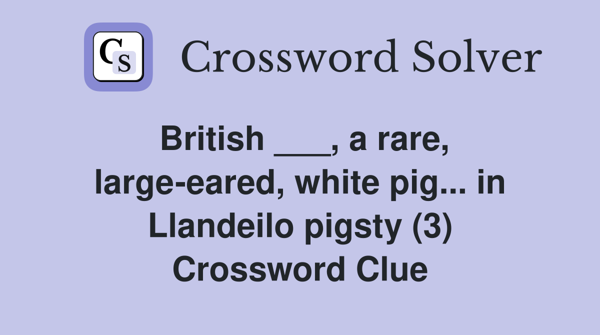 British ___, a rare, large-eared, white pig... in Llandeilo pigsty (3) Crossword Clue