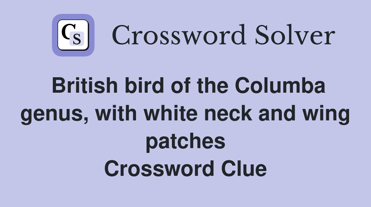 British bird of the Columba genus, with white neck and wing patches Crossword Clue