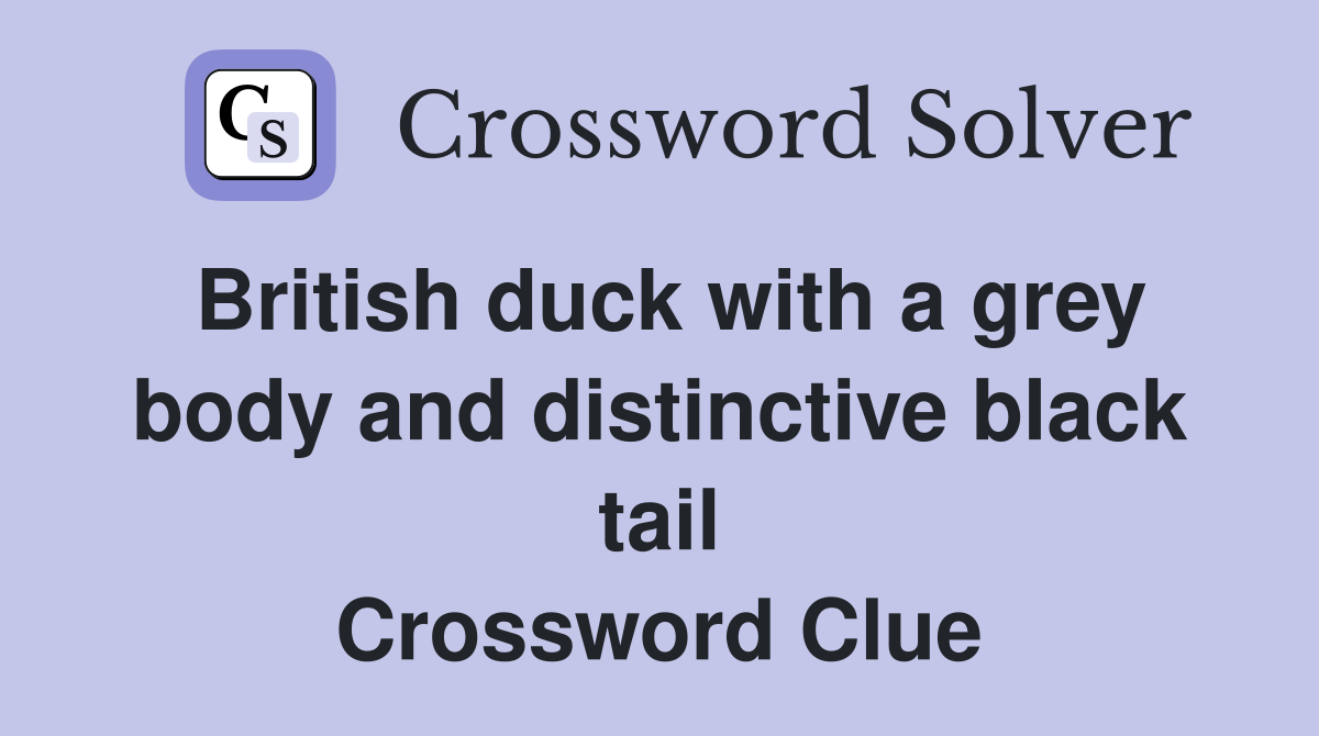 British duck with a grey body and distinctive black tail Crossword Clue