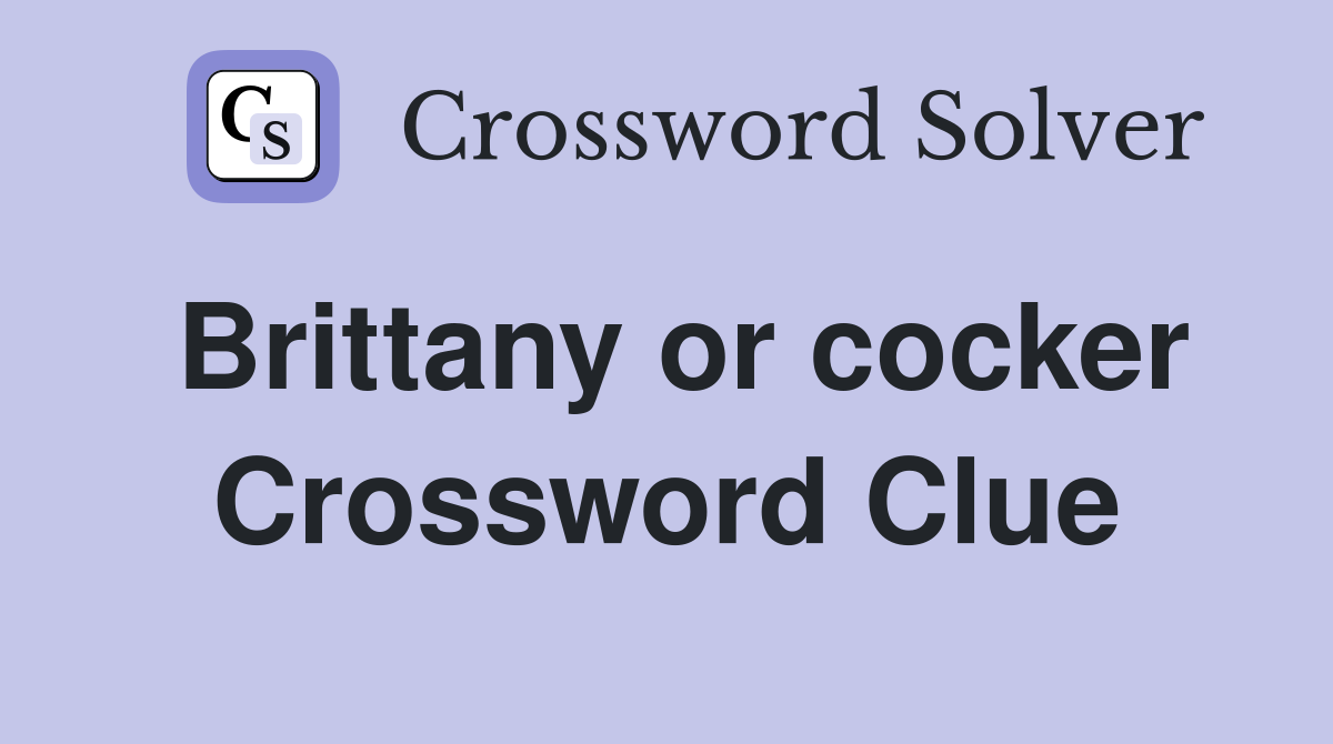 Brittany or cocker Crossword Clue