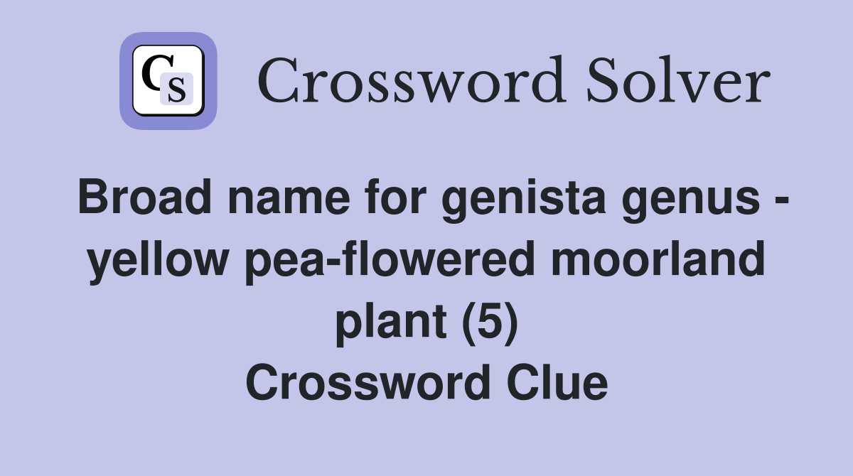Broad name for genista genus - yellow pea-flowered moorland plant (5) Crossword Clue