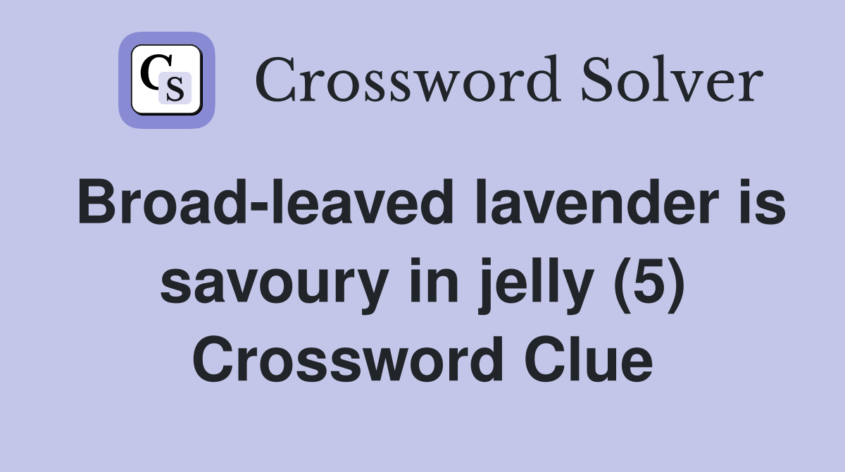 Broad-leaved lavender is savoury in jelly (5) Crossword Clue