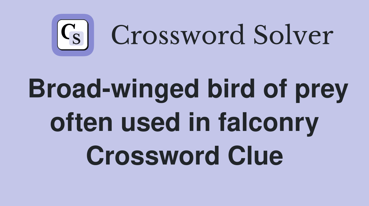 Broad-winged bird of prey often used in falconry Crossword Clue