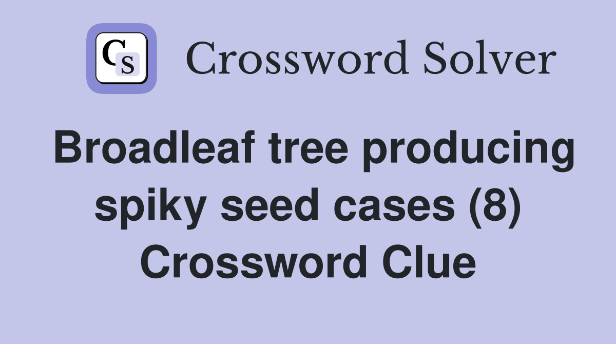 Broadleaf tree producing spiky seed cases (8) Crossword Clue