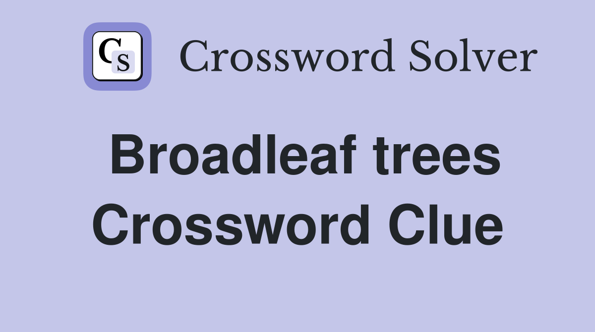 Broadleaf trees Crossword Clue