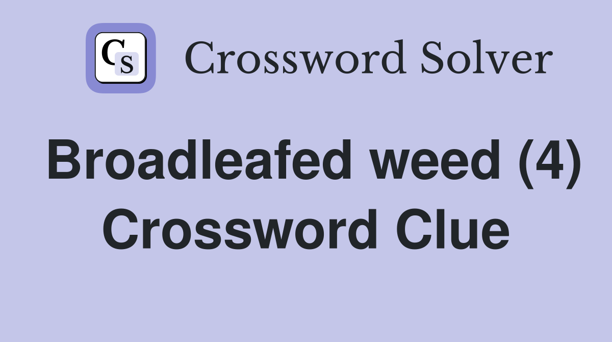 Broadleafed weed (4) Crossword Clue