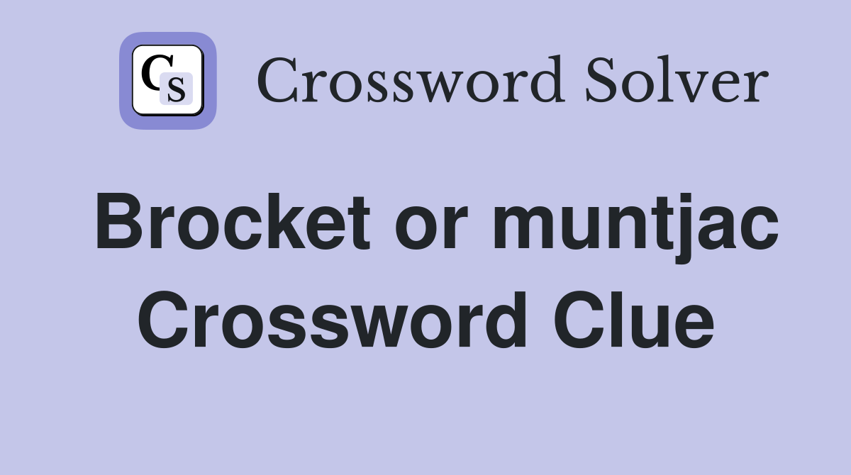 Brocket or muntjac Crossword Clue
