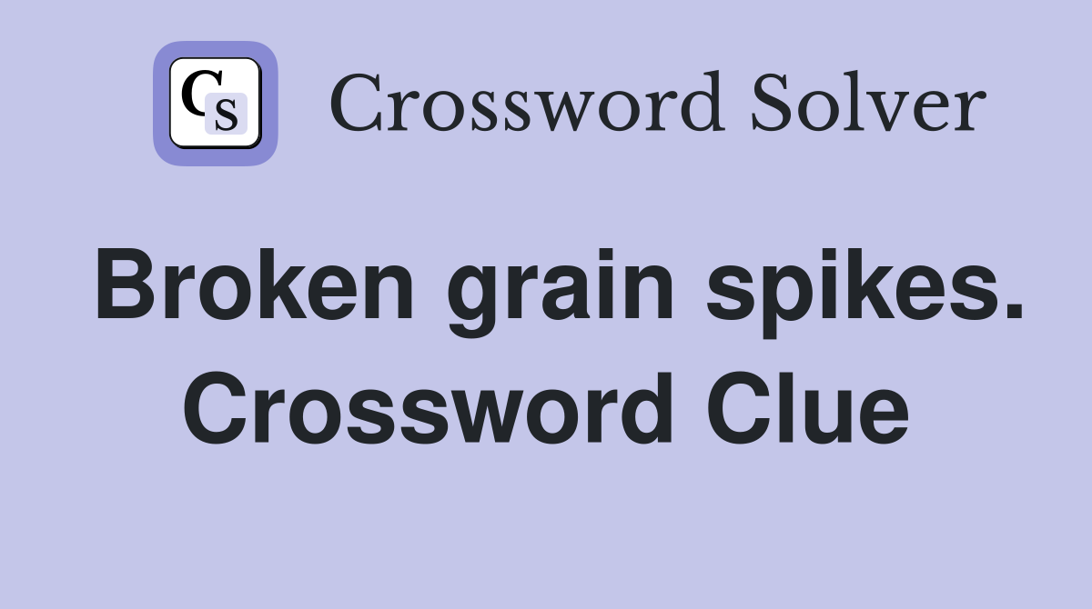 Broken grain spikes. Crossword Clue