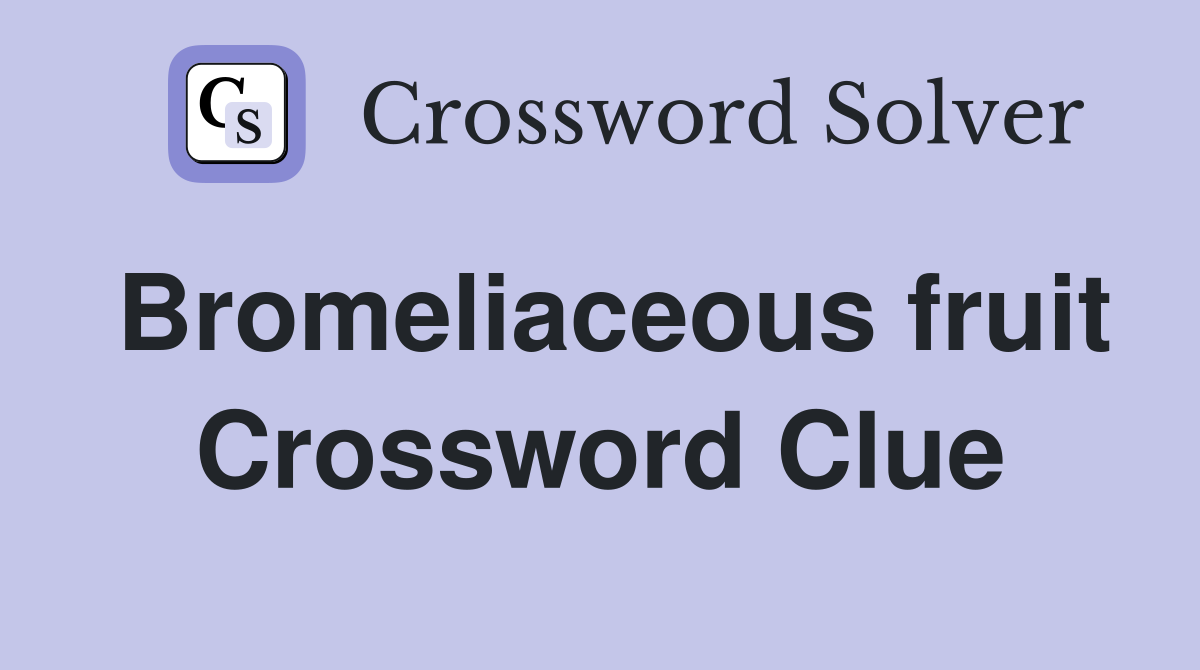 Bromeliaceous fruit Crossword Clue