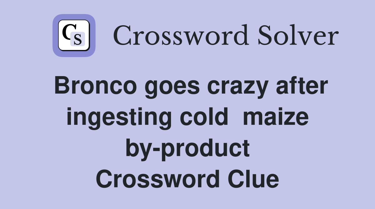 Bronco goes crazy after ingesting cold  maize by-product Crossword Clue