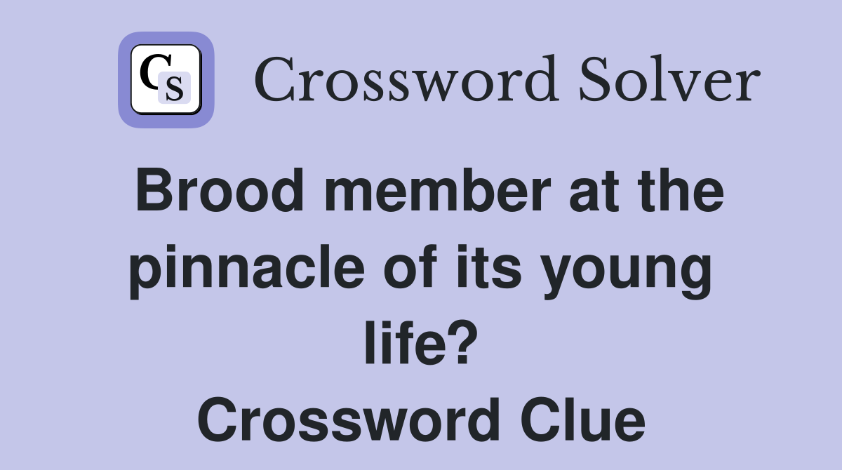 Brood member at the pinnacle of its young life? Crossword Clue