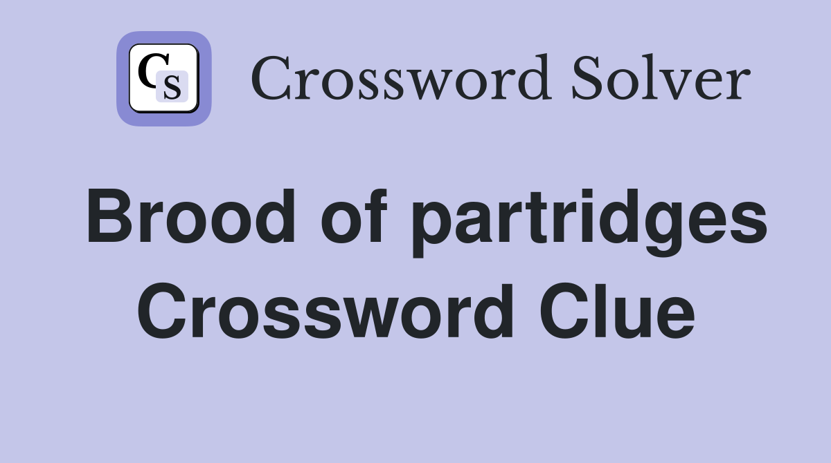 Brood of partridges Crossword Clue