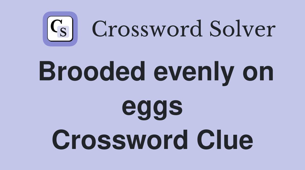 Brooded evenly on eggs Crossword Clue