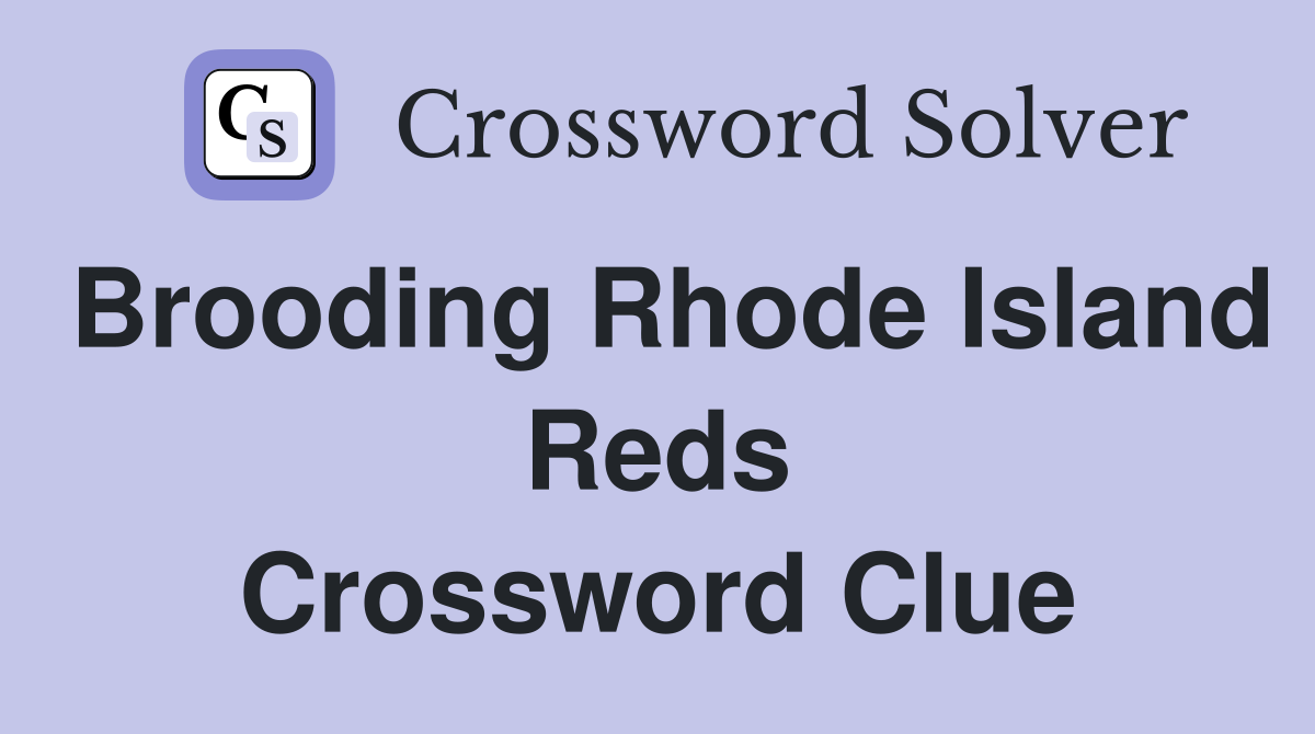 Brooding Rhode Island Reds Crossword Clue