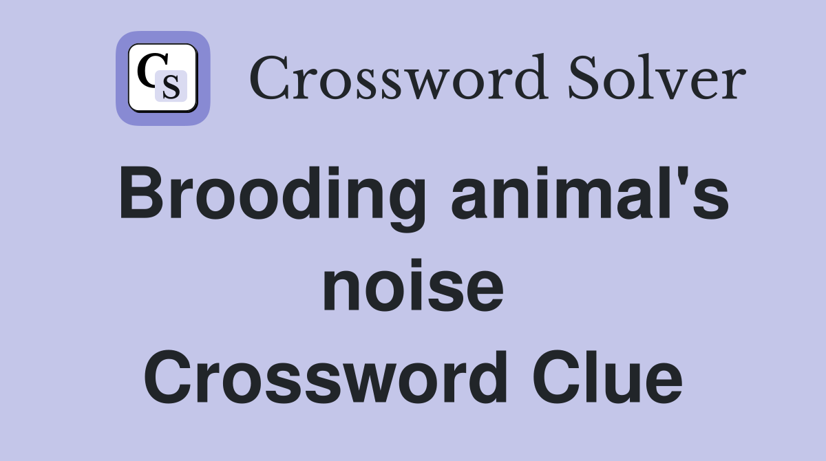 Brooding animal's noise Crossword Clue