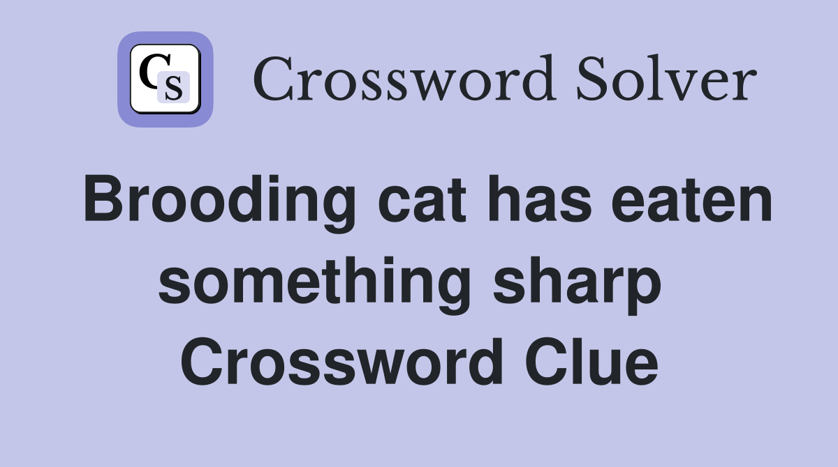 Brooding cat has eaten something sharp  Crossword Clue