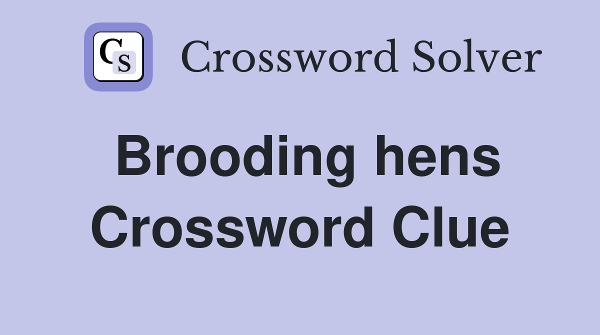 Brooding hens Crossword Clue