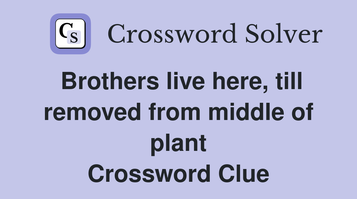 Brothers live here, till removed from middle of plant Crossword Clue