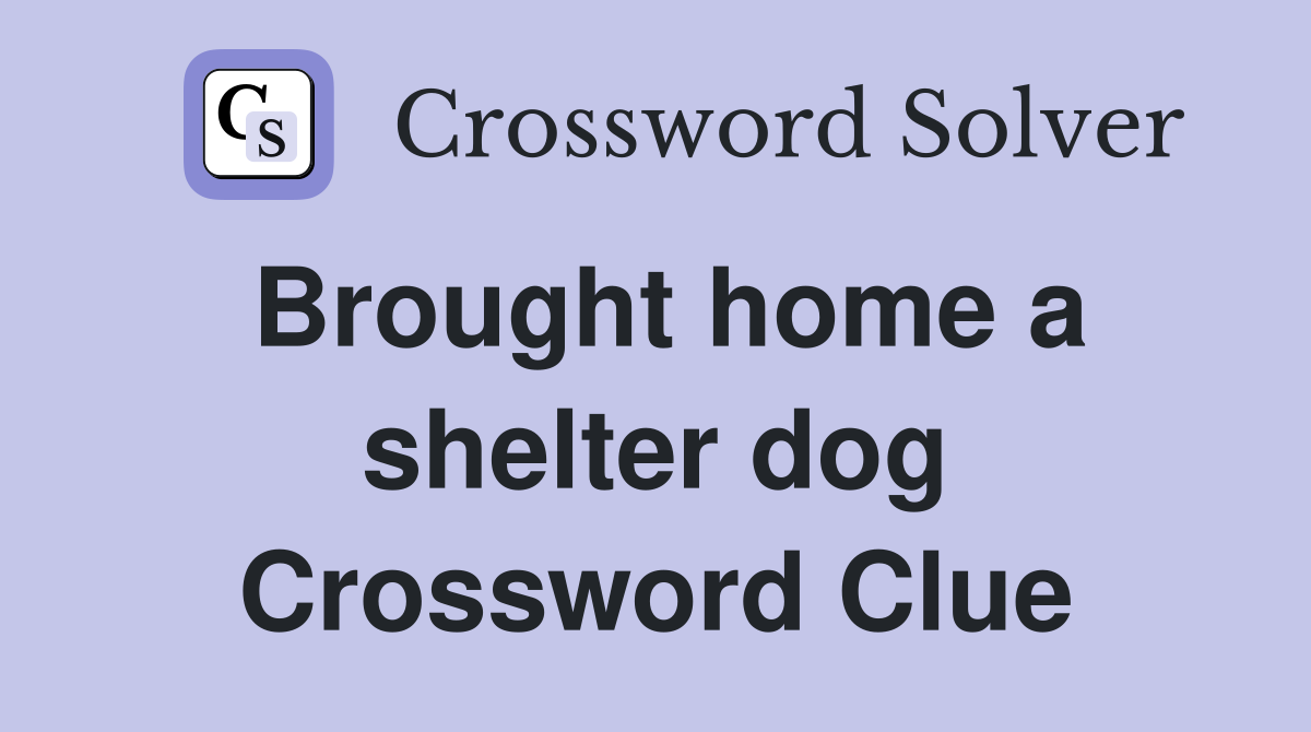 Brought home a shelter dog Crossword Clue