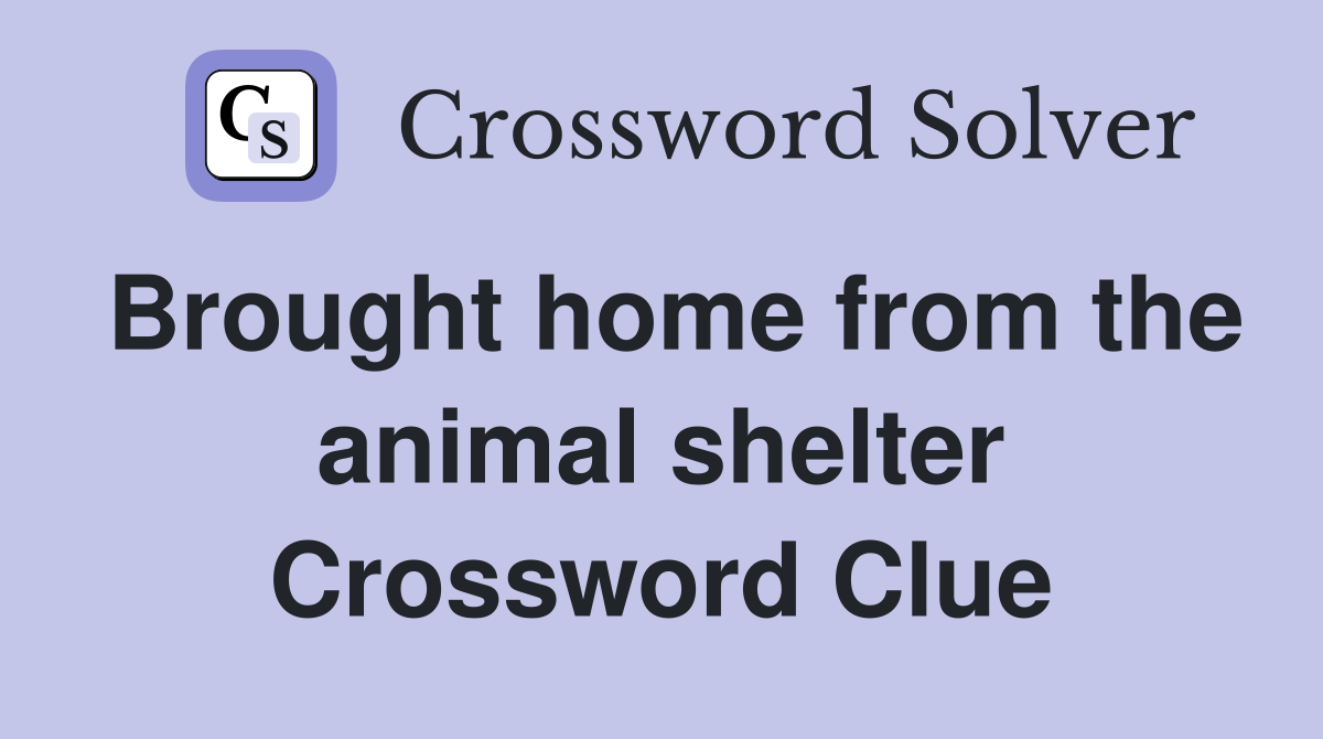 Brought home from the animal shelter Crossword Clue