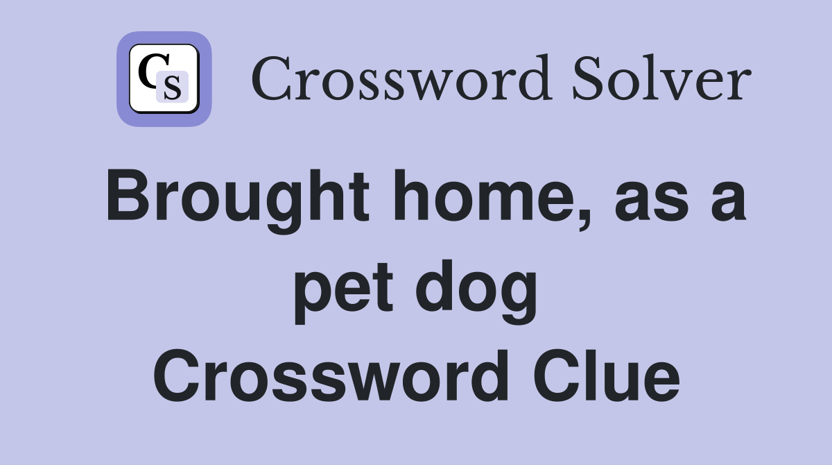Brought home, as a pet dog Crossword Clue