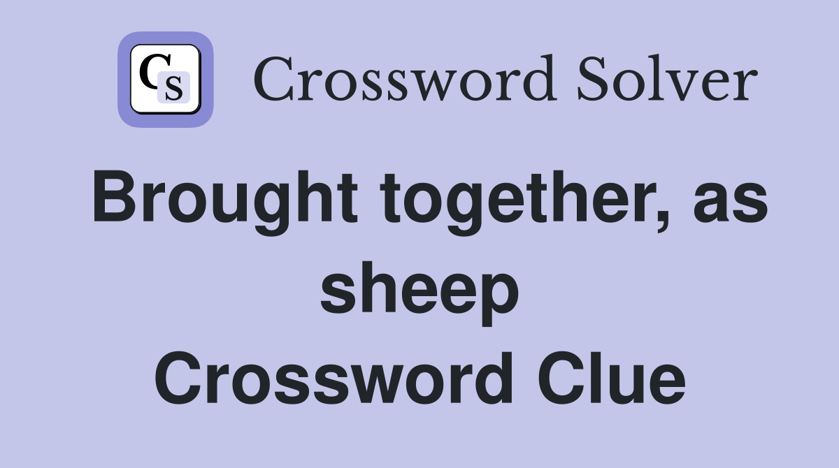 Brought together, as sheep Crossword Clue