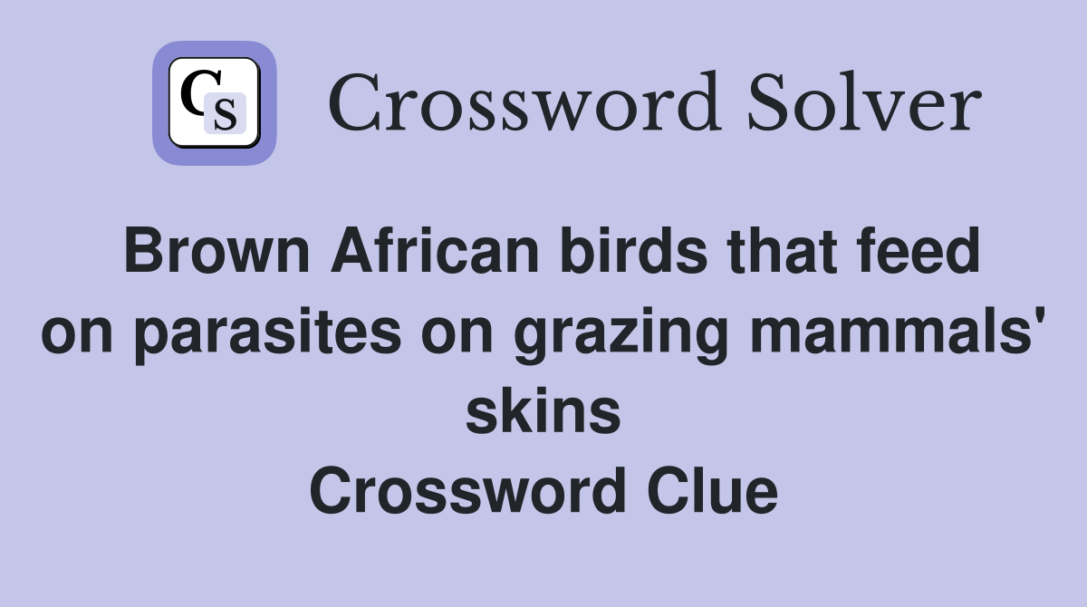 Brown African birds that feed on parasites on grazing mammals' skins Crossword Clue