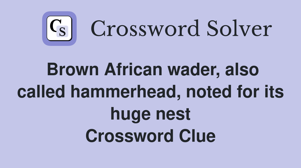 Brown African wader, also called hammerhead, noted for its huge nest Crossword Clue