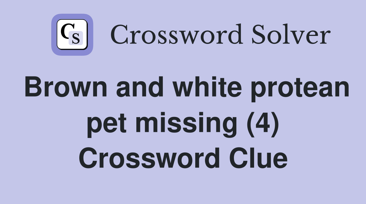 Brown and white protean pet missing (4) Crossword Clue