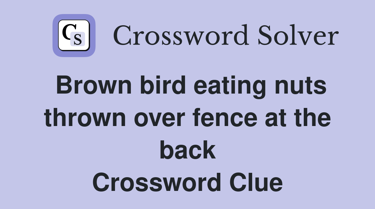 Brown bird eating nuts thrown over fence at the back Crossword Clue